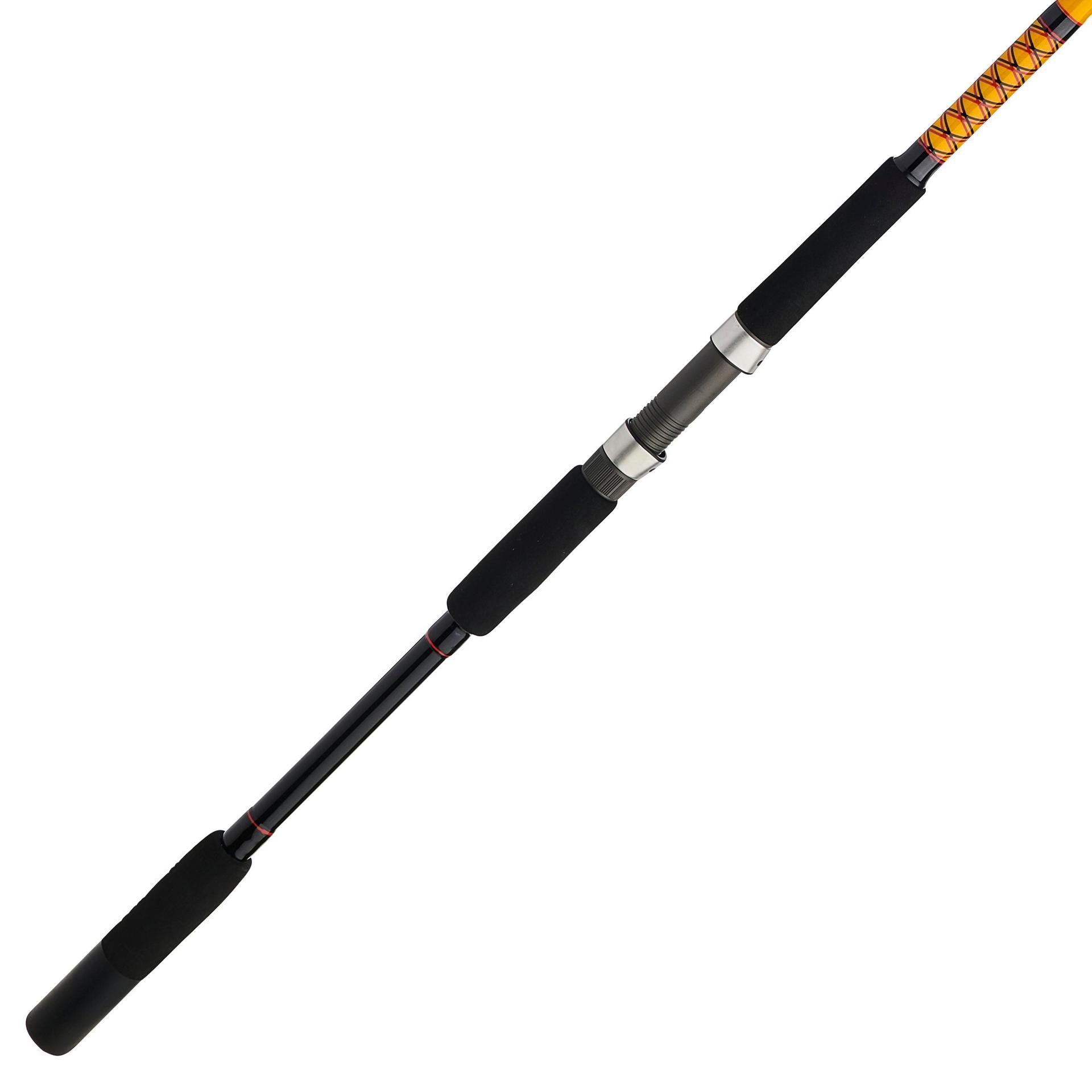 Bigwater 2-Piece Spinning Rod