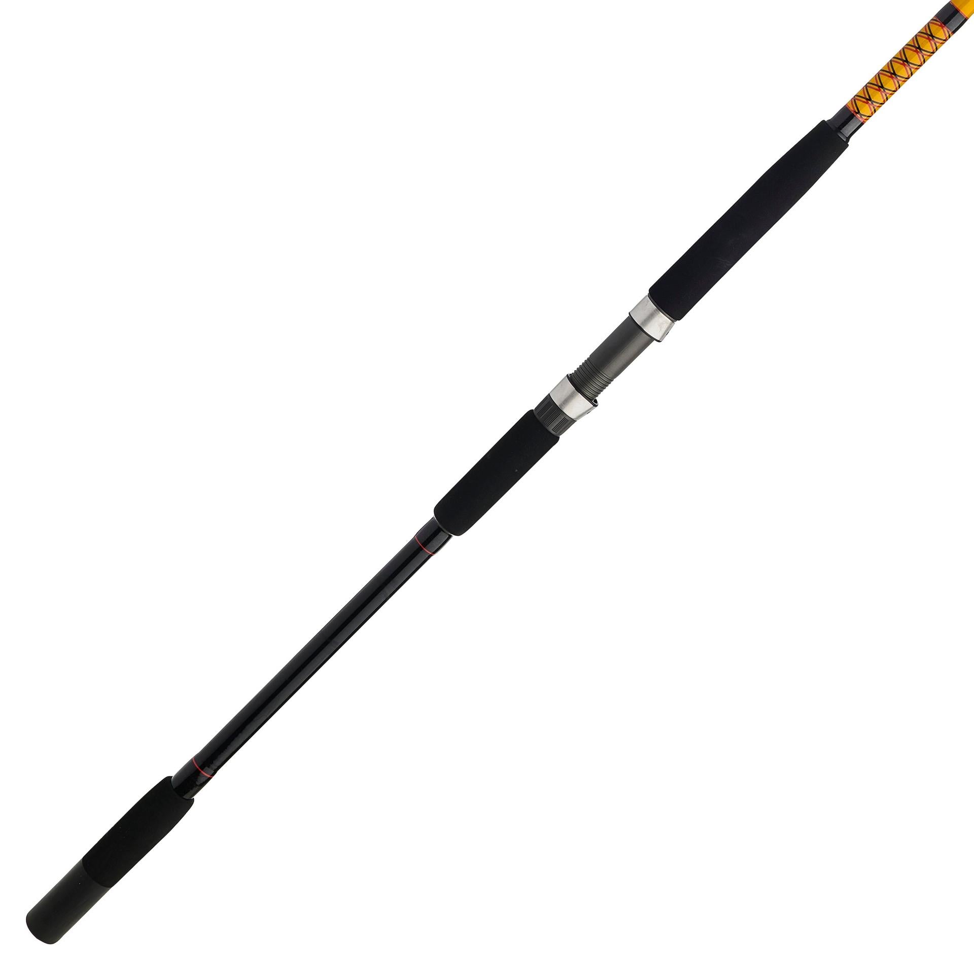 Bigwater 2-Piece Spinning Rod