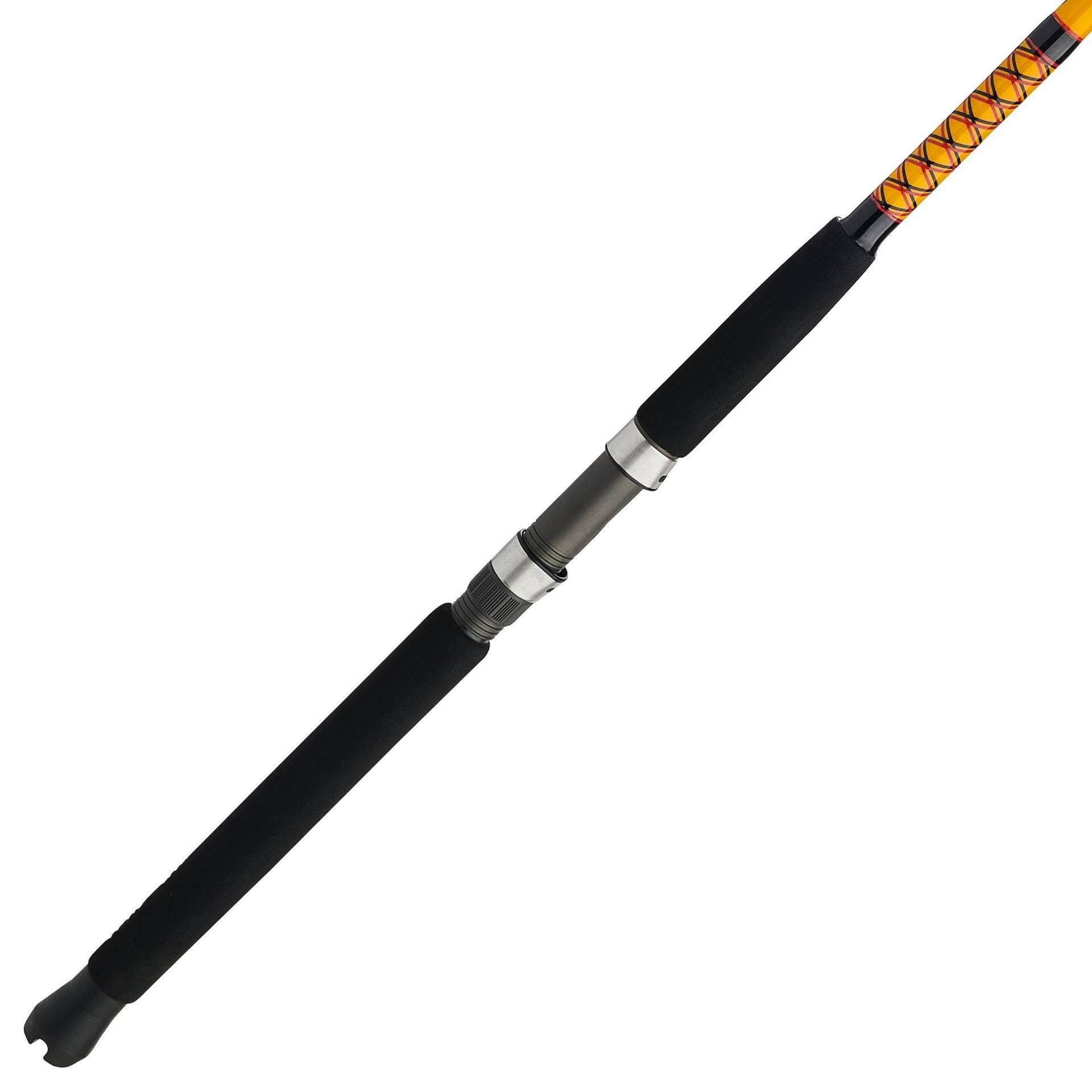 Bigwater 2-Piece Spinning Rod